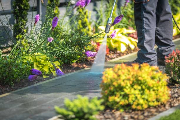 Best Sidewalk and Walkway Cleaning  in Bald Kno, AR