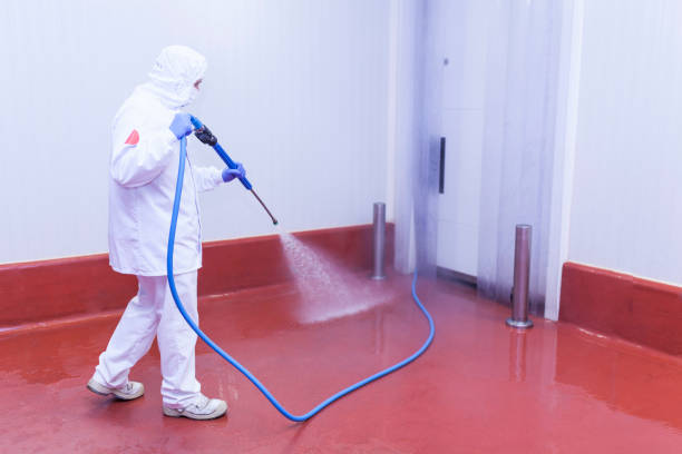 Best Concrete Sealing  in Bald Kno, AR
